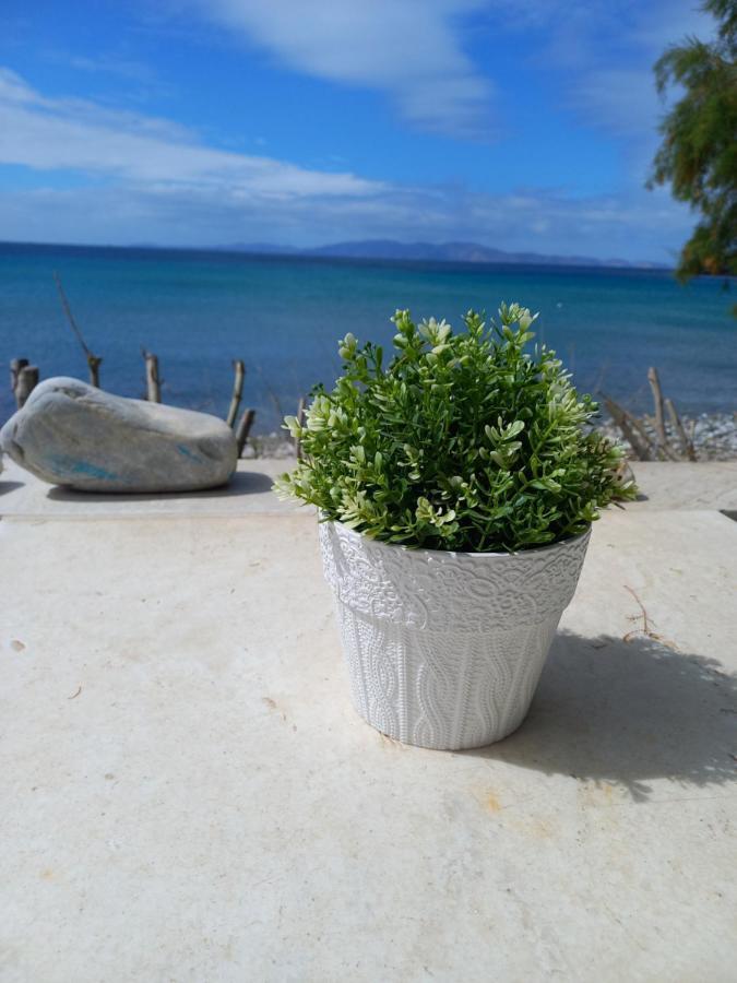 Vila "Sea Front" Rose'S House Kardhianí Exteriér fotografie